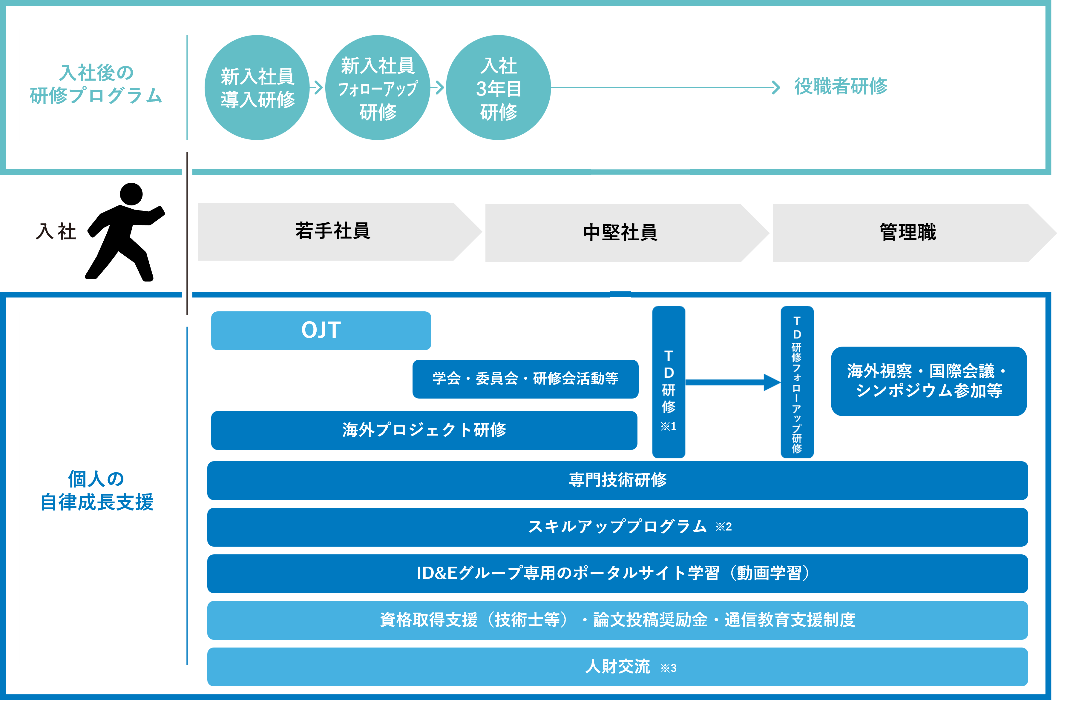 教育研修体系図